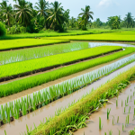 A lush, green farm in the Mekong Delta, Vietnam. Rice paddies are thriving, irrigated by a clear, modern water recycling system. Farmers are tending to the crops, showcasing sustainable agriculture with recycled water. Bright, sunny day.